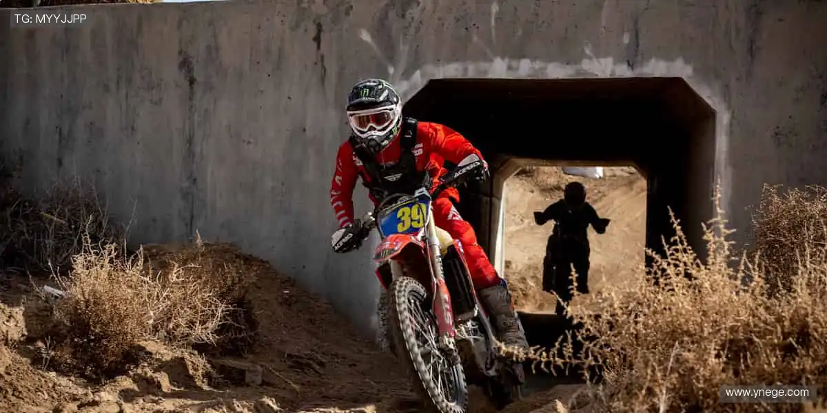 把热爱穿在身上，让每一件周边都成为你的骄傲！👕